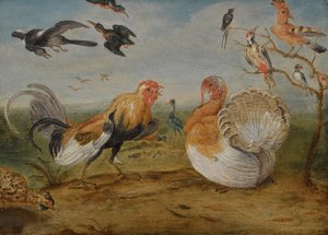 Een landschap met een haan en een kalkoen die ruzie maken, en ander gevogelte
